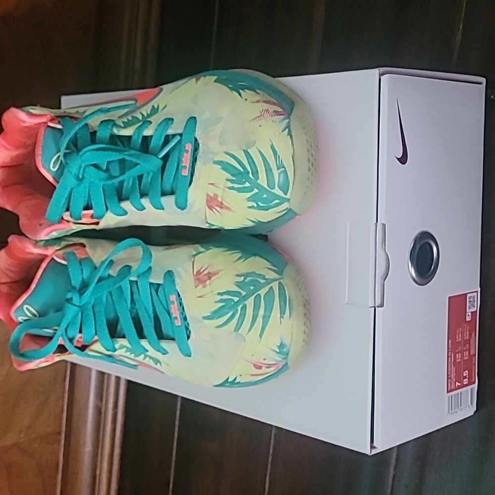 Lebron Nike IX Low